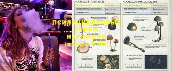 дживик Алексин